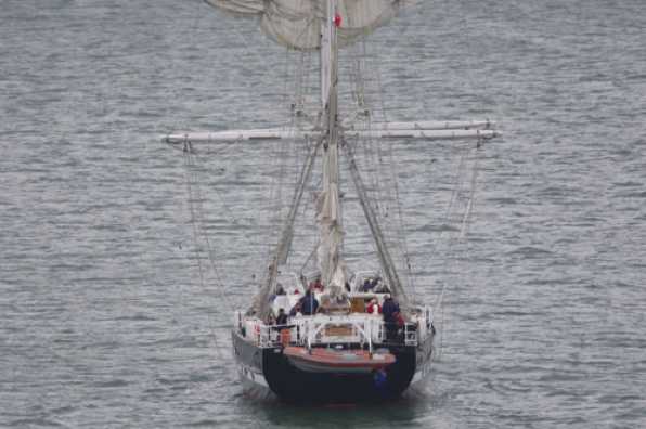 3 September 2022 - 15:36:30

-----------------------
Tall ship TS Royalist arrives in Dartmouth